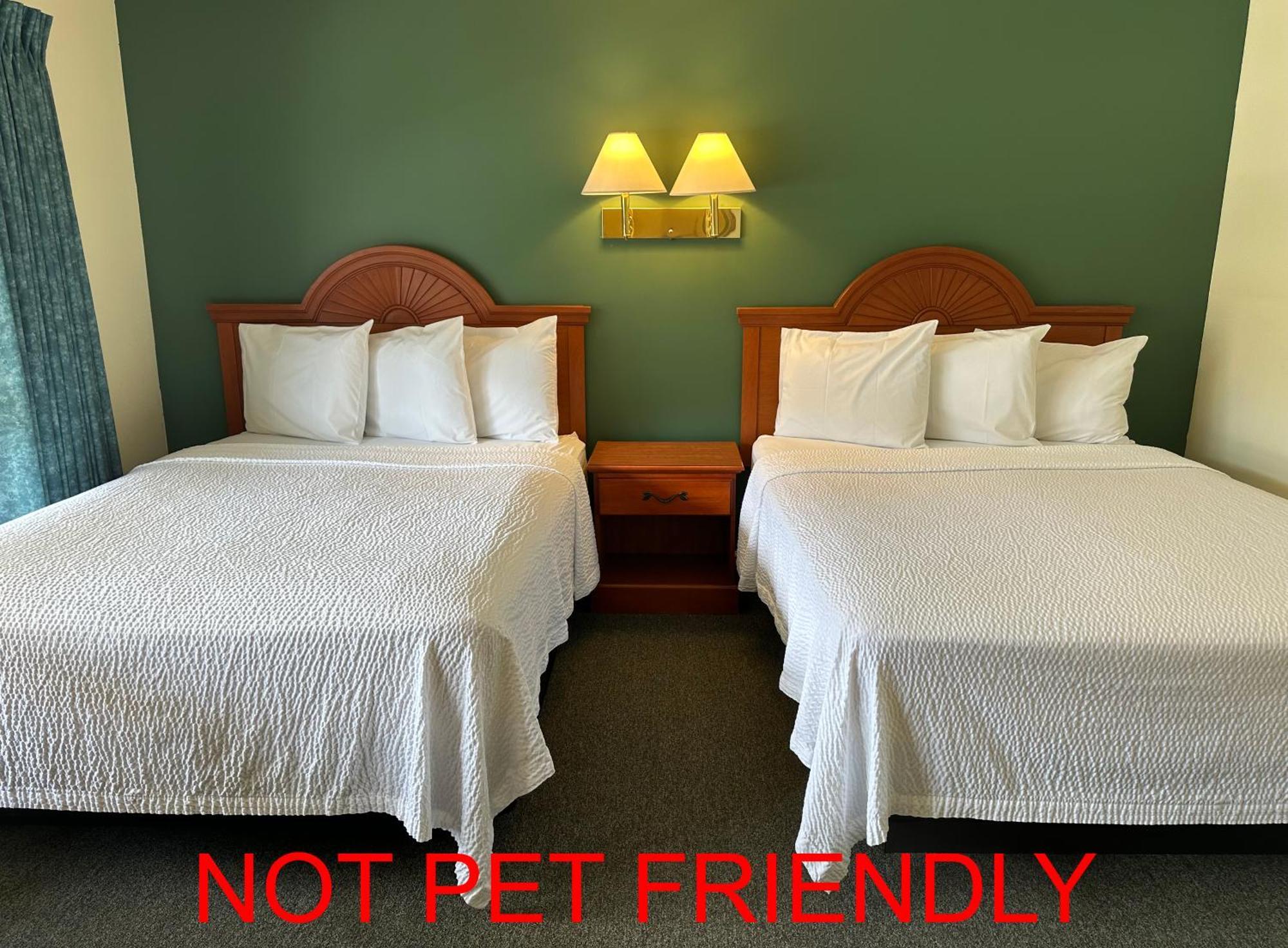O'Sullivan'S Motel 乔治湖 外观 照片