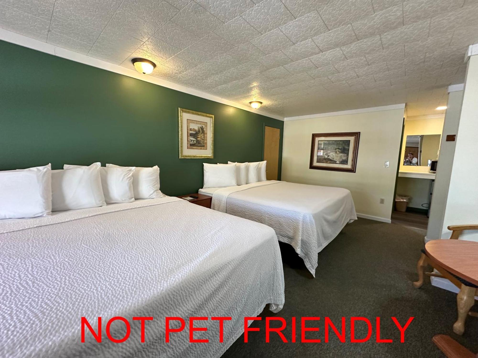 O'Sullivan'S Motel 乔治湖 外观 照片